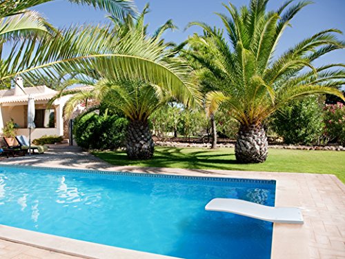 Trampolín Bali para piscina. De fibra de vidrio. Muy RESISTENTE. Color blanco. Fabricado en España