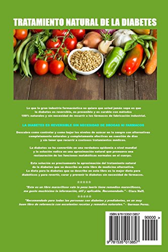 Tratamiento Natural de La Diabetes: Descubra Los Mejores Remedios Naturales Para Curar La Diabetes y el Mejor Menu Natural Para Diabeticos: Volume 1 (recetas para diabeticos)