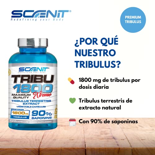 TRIBU 1800 | 1800 mg de Tribulus Terrestris por dosis diaria con 90% Saponinas | Precursor de Testosterona | 120 cápsulas vegetales