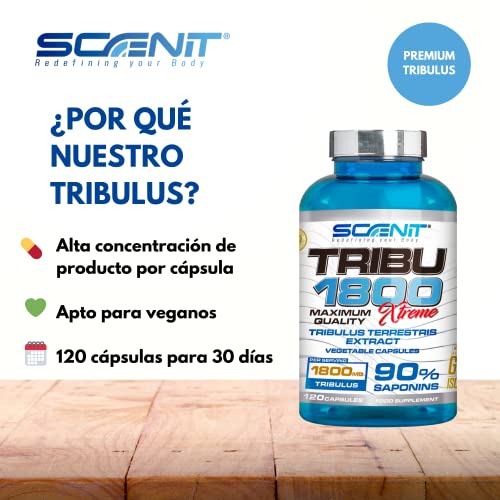 TRIBU 1800 | 1800 mg de Tribulus Terrestris por dosis diaria con 90% Saponinas | Precursor de Testosterona | 120 cápsulas vegetales