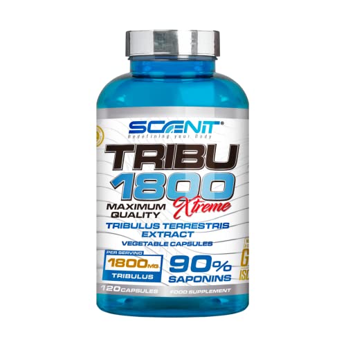 TRIBU 1800 | 1800 mg de Tribulus Terrestris por dosis diaria con 90% Saponinas | Precursor de Testosterona | 120 cápsulas vegetales