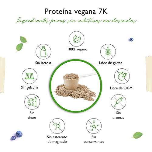 Vegan 7K Protein - 1kg - Cookies & Cream - Proteína vegetal pura en polvo con proteínas de arroz, almendra, soja, guisante, cáñamo, arándano y girasol