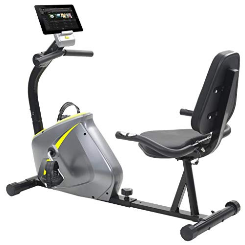 vidaXL Bicicleta Estática Reclinable Giratoria Máquina Fitness Entrenamiento