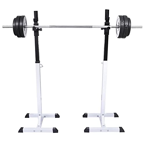 vidaXL Soporte Musculación Barra Mancuerna 30,5kg Pesa Ejercicio Entrenamiento