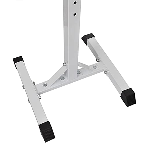 vidaXL Soporte Musculación Barra Mancuerna 30,5kg Pesa Ejercicio Entrenamiento