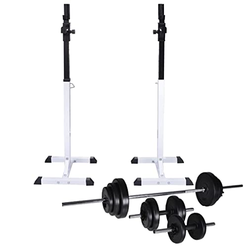 vidaXL Soporte Musculación Barra Mancuerna 30,5kg Pesa Ejercicio Entrenamiento