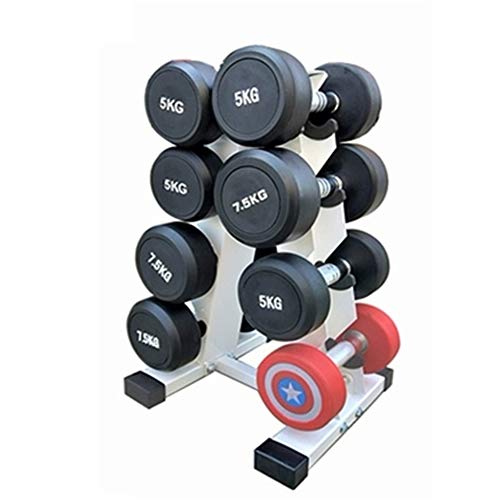 XDJ Estante con Mancuernas, Un Cuadro Almacenamiento De Pesas, Soporte Metal Acero, Entrenamiento En Casa, Soporte De Almacenamiento, Gimnasio Casero Cada Día De Entrenamiento, 4 Capas