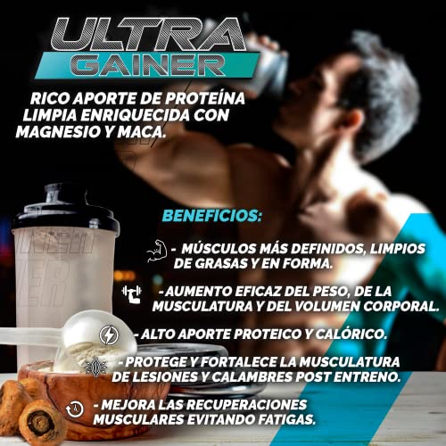 XPRO | Mass gainer rápido y efectivo con Proteína de Whey, Magnesio y Maca | Aumenta de peso y masa muscular | Rico en carbohidratos y proteína | Pre y post-workout | Sabor chocolate | 1,5kg