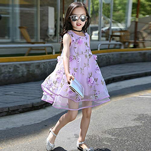 YWLINK Vestido NiñA,Verano Sin Mangas Vestido De La Flor del Chaleco del Fleco del Organza De Las Flores 3D,Vestido De La Princesa De La Boda Fiesta Regalo De CumpleañOs(Púrpura,6-7 años/130)