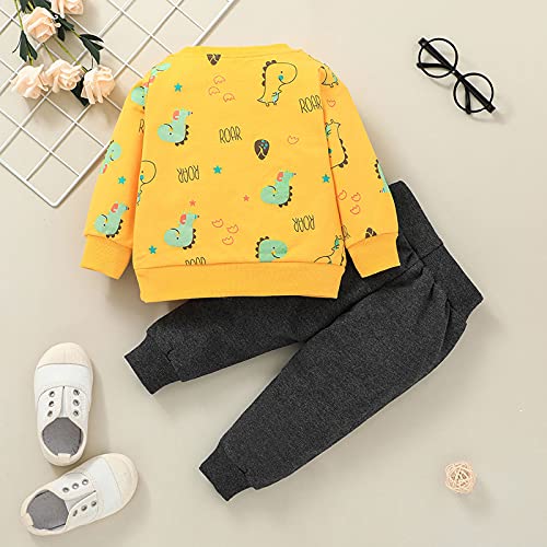 1 a 3 años Bebe Niño Camiseta con Capucha a Rayada Tops de Manga Larga + Pantalones,2PC Conjunto Bebé Invierno Otoño Ropa