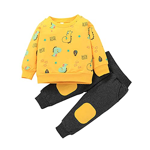 1 a 3 años Bebe Niño Camiseta con Capucha a Rayada Tops de Manga Larga + Pantalones,2PC Conjunto Bebé Invierno Otoño Ropa