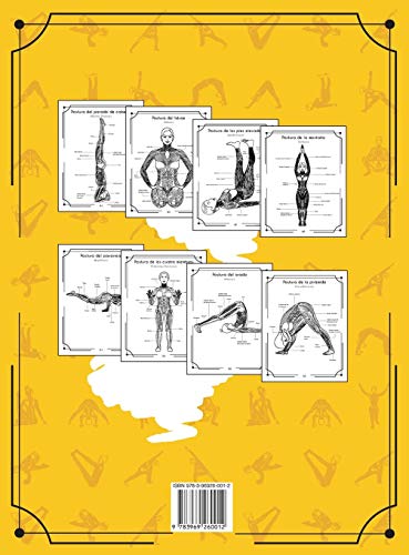 Anatomía Del Yoga Libro Para Colorear: Una Nueva Visión De Las Posturas De Yoga