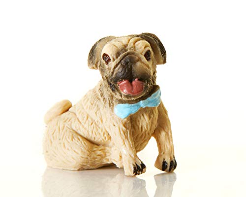 Boxer Gifts Grow a Pug | Solo agrega Agua | Gran diversión para los niños Amantes de los Perros y los Cachorros, | Six Times Original Size