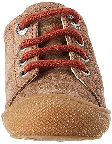 Naturino Cocoon, Zapatillas de Gimnasio Niñas, Marrone, 26 EU