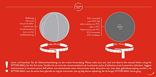 Sitting Ball Sport-Tec - Pelota para sentarse (malla, aprox. 65 cm),