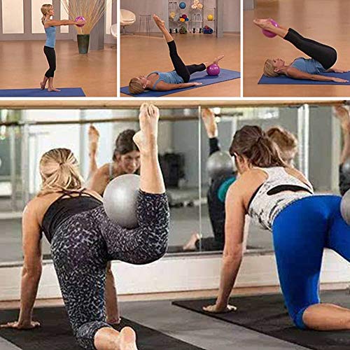 2 PCS Softball Pilates, Pelota de Pilates de 25 cm, Mini Balones Yoga, Pilates Pelota Equilibrio, Pelota de Ejercicios para Gimnasio, Yoga, Masaje y Pilates en Casa, Material Fitness (Azul + Morado)