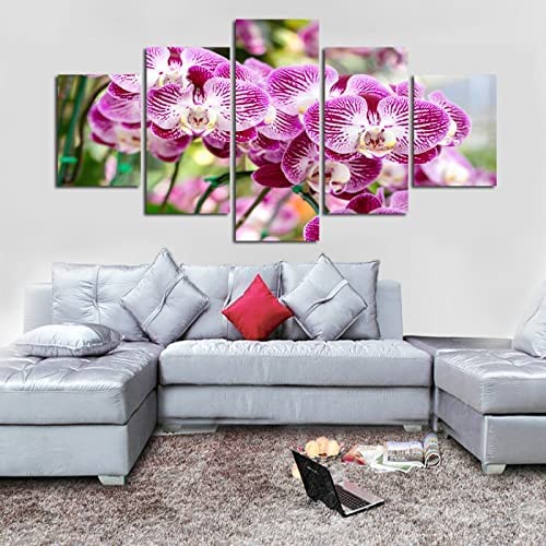 5 Piezas De Lienzo Orquídea Rosa Lienzos Decorativos Xxl Cuadros Modernos Cuadros Para Pasillo Cuadros Decorativos Cuadros Para Dormitorios Modernos (L/Sin Marco 150 X 80 Cm) /Dormitorio/Hot -0O3V-B2B