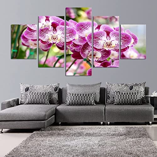 5 Piezas De Lienzo Orquídea Rosa Lienzos Decorativos Xxl Cuadros Modernos Cuadros Para Pasillo Cuadros Decorativos Cuadros Para Dormitorios Modernos (L/Sin Marco 150 X 80 Cm) /Dormitorio/Hot -0O3V-B2B