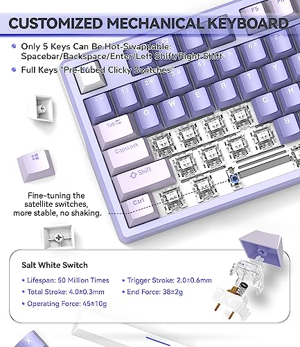 AK873PRO-XINMENG X87 75% Teclado para Juegos, TKL 80% Gasket Mecánico Keyboard Custom Pre-Lubed Switch, LIGHTSYNC Backlit LED, Compacto 87 Teclas PBT Keycap, Cable USB C Espiral para PC/Mac -Púrpura