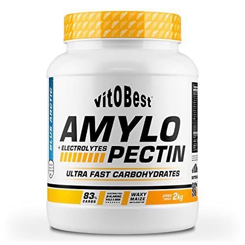 AMYLOPECTIN ELECTROLYTES 2 KG BLUE ARTIC - Suplementos Alimentación y Suplementos Deportivos - Vitobest