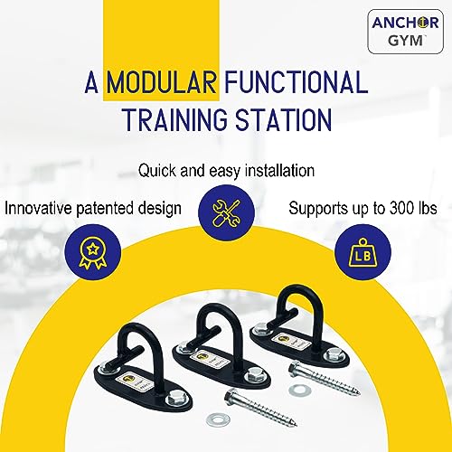 Anchor Gym Juego de 3 mini anclajes H1 de montaje en pared. Diseñado para correas de peso corporal, bandas de resistencia, entrenamiento de fuerza, gimnasio en casa, terapia física