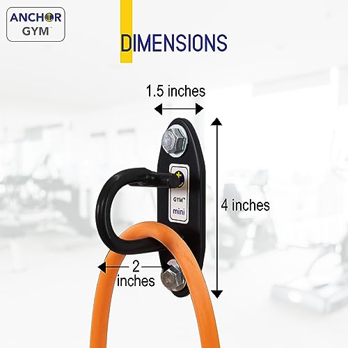 Anchor Gym Juego de 3 mini anclajes H1 de montaje en pared. Diseñado para correas de peso corporal, bandas de resistencia, entrenamiento de fuerza, gimnasio en casa, terapia física