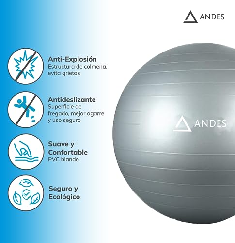 Andes. Pelota de Gimnasia, Fitness, Yoga, Pilates, Tamaño 55, 65 y 75 cm, Fitball para Ejercicios y Embarazos, Bola para Sentarse, Balón Muy Resistente, Hinchador Inlcuido. (55 CM)