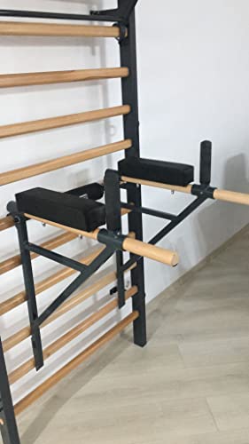 ARTIMEX Barra Triceps por espalderas - se Utiliza en hogares, gimnasios o centros de Fitness para Entrenamiento y Fitness, código 270 (Gris (RAL 7016))