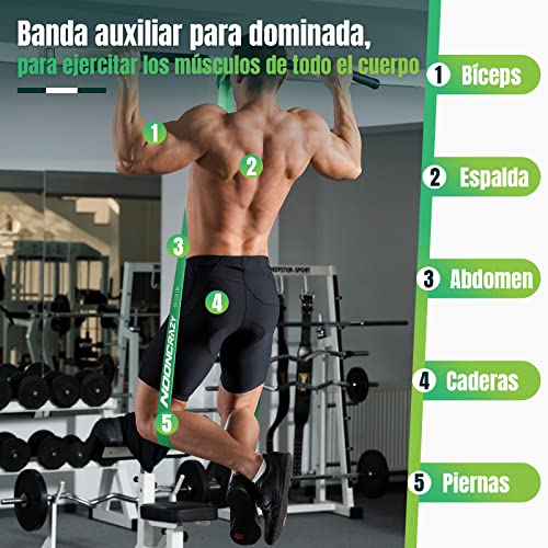 Bandas de Resistencia, 4 Gomas Elasticas Musculacion de Diferentes Resistencias, con el Anclaje de Puerta y Manijas, Adecuado para, Entrenamiento, Fisioterapia