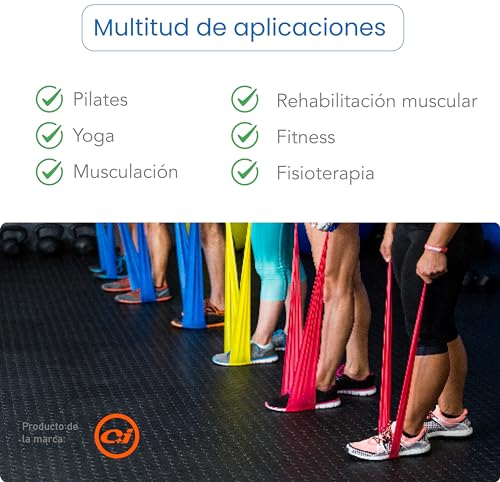 Bandas elasticas musculacion para Fitness, Yoga, Pilates, Fisioterapia y Rehabilitacion. Gomas elasticas musculacion con Diferentes Resistencia. Bandas elasticas Marca C+I. (Rojo)