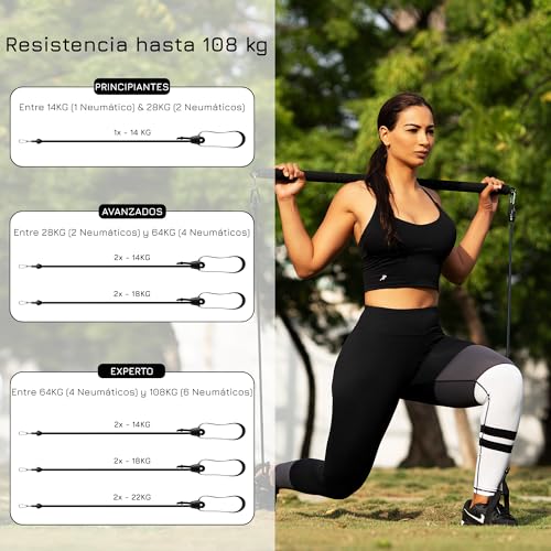 BREAKING LIMITS Juego de barras de pilates, barra de ejercicio de longitud ajustable con 6 bandas de resistencia, equipo de gimnasio de entrenamiento de cuerpo completo para el hogar, acero inoxidable