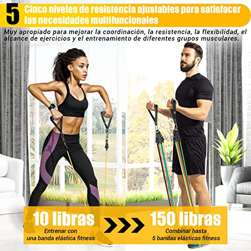 Cintas Elasticas Musculacion, 5 Resistance Bands, Gomas Elasticas Musculacion con Manijas Grandea, Tobillo, Póster de Entrenamiento, Mejor Opción para Entrenamiento de Fuerza, Fisioterapia