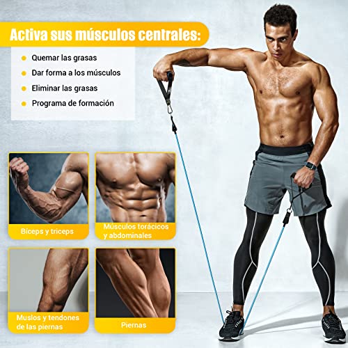 Cintas Elasticas Musculacion, 5 Resistance Bands, Gomas Elasticas Musculacion con Manijas Grandea, Tobillo, Póster de Entrenamiento, Mejor Opción para Entrenamiento de Fuerza, Fisioterapia