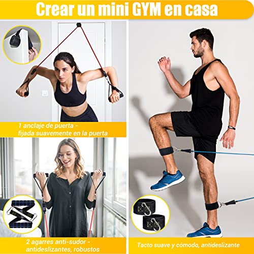 Cintas Elasticas Musculacion, 5 Resistance Bands, Gomas Elasticas Musculacion con Manijas Grandea, Tobillo, Póster de Entrenamiento, Mejor Opción para Entrenamiento de Fuerza, Fisioterapia