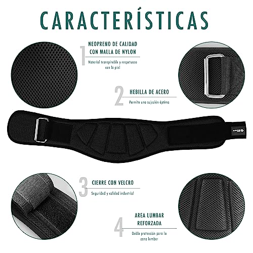 Cinturon Lumbar Gimnasio Que Incluye Straps Y Muñequeras Gym - Cinturon gym, Levantamiento De Pesas, Accesorios Para Gym, Cinturon Powerlifting, Crossfit, Fitness Para Hombre Y Mujer (M)