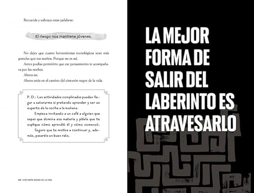 Cinturón negro de la vida: Cómo las artes marciales nos enseñan a vivir plenamente (Libro práctico)