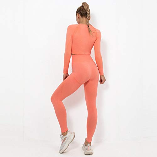 Conjuntos Deportivos Mujer Fitness Seamless Gym Medias e Top de Manga Larga Deportivo Alta Cintura Yoga Elásticos Fitness Seamless para Yoga Fitness Gimnacio en CasaD-S WOERD