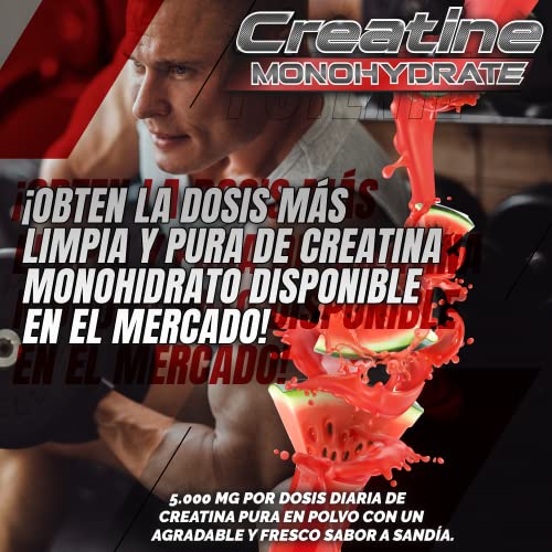 Creatina Monohidratada en polvo de alta solubilidad 5000mg/dosis | Aumenta el crecimiento muscular y mejora el rendimiento físico | Fórmula natural sin aditivos | 345 gramos sabor sandía