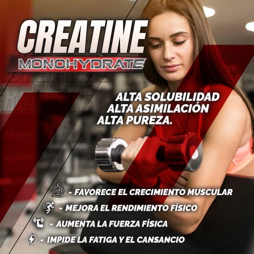 Creatina Monohidratada en polvo de alta solubilidad 5000mg/dosis | Aumenta el crecimiento muscular y mejora el rendimiento físico | Fórmula natural sin aditivos | 345 gramos sabor sandía