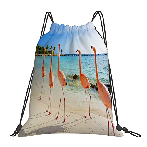 DELURA Bolsa Mochila de cuerdas hombre mujer niño,Pájaro Flamenco Playa Aruba Isla Bonaire Caribe Sillas Exóticas Gratis,bolso saco para gimnasio,mochila para estudiantes,saco petatecon cordon