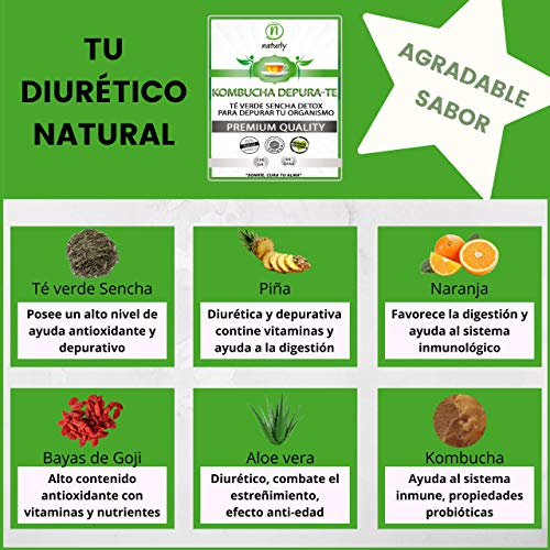 Detox Té Desintoxicante | Potentes antioxidantes | Té Kombucha | Té Verde Puro | Eliminar Toxinas de tu Cuerpo y Reducir Hinchazón Abdominal | Ayuda Natural para Eliminar Grasas