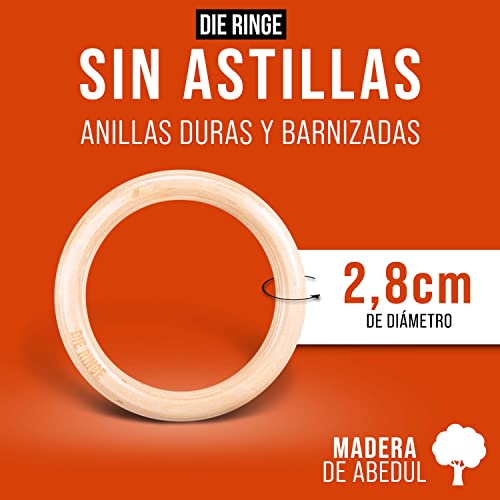 Die Ringe® Juego de Anillas de Gimnasia Esencial - Gymnastic Rings con Mango de 28 mm y Correas con Marcas Tejidas para Cambiar la Longitud sin Esfuerzo, con Madera de Abedul