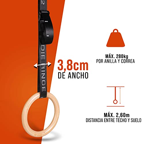 Die Ringe® Juego de Anillas de Gimnasia Esencial - Gymnastic Rings con Mango de 28 mm y Correas con Marcas Tejidas para Cambiar la Longitud sin Esfuerzo, con Madera de Abedul