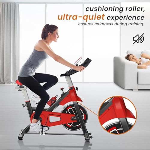 Dskeuzeew Bicicleta Estática, Bicicleta Spinning Indoor Ejercicio Gym Casa Fitness Bikes, Resistencia Ajustable con Pantalla LCD y Monitor de Frecuencia Cardíaca, Rojo