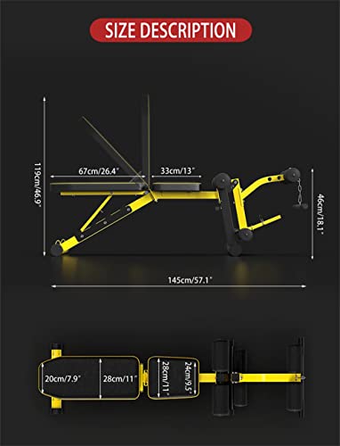 EASY BIG Banco de Pesas Utilitario con Extensión de Pierna - Banco Ajustable de Múltiples Posiciones para Entrenamiento de Fuerza, Ejercicio con Mancuernas y Entrenamientos Abdominales