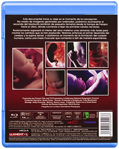 En El Vientre Materno [Blu-ray]