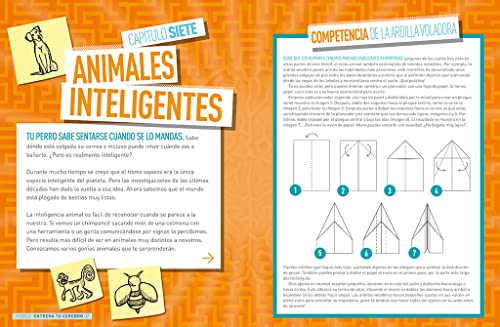 Entrena tu cerebro. ¡Saca el genio que llevas dentro! (National Geographic Kids)