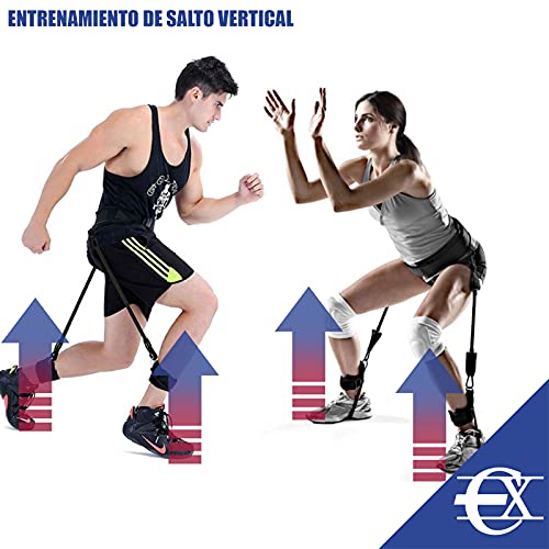 EUROXANTY Bandas elásticas para el Entrenamiento de las Piernas | Cinturón y Gomas de Resistencia para Ejercicios de Glúteos | Kit de Entrenamiento de Salto vertical