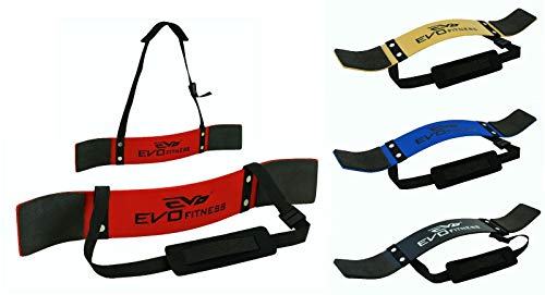 EVO Fitness Levantamiento de Pesas Arm Blaster Biceps Aislante Gym Apoyo Correas Envolvente - Rojo