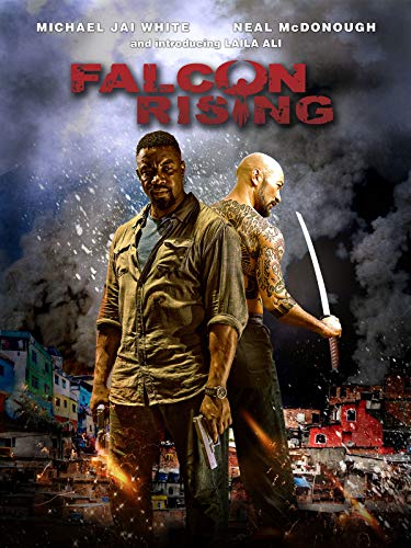 Falcon Rising